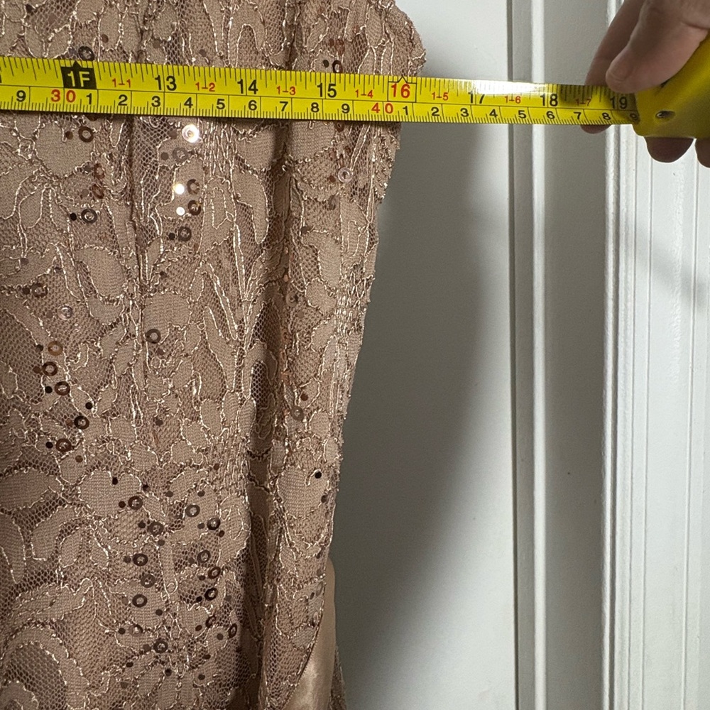 Cardolite Petite Lace Sequin Maxi Dress PL - NWT Style - Picture 6 of 6